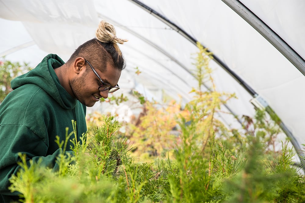 Student observing shrubbery