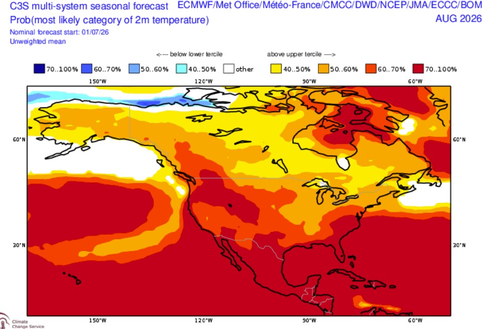 Figure 7. C3S temperature forecast for August 2026.